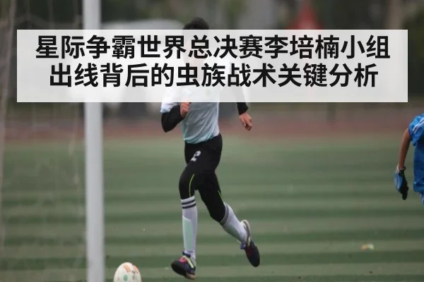 星际争霸世界总决赛李培楠小组出线背后的虫族战术关键分析